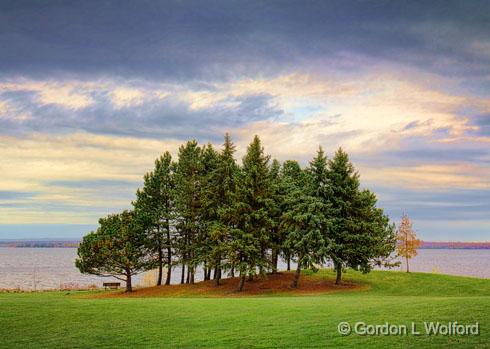 Riverside Trees_18151-2.jpg - Photographed along the Ottawa River at Ottawa, Ontario, Canada.